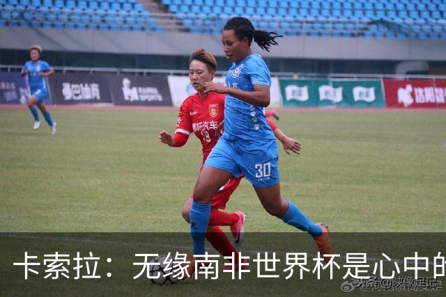 卡索拉：无缘南非世界杯是心中的刺